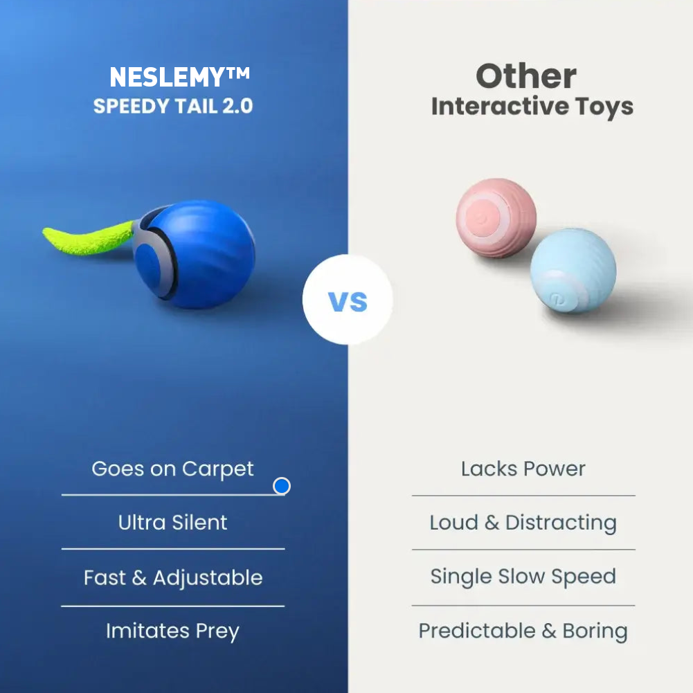 🔥Last Day 48% OFF - SPEEDY TAIL 2.0 (Buy 2 Get 1 Free)