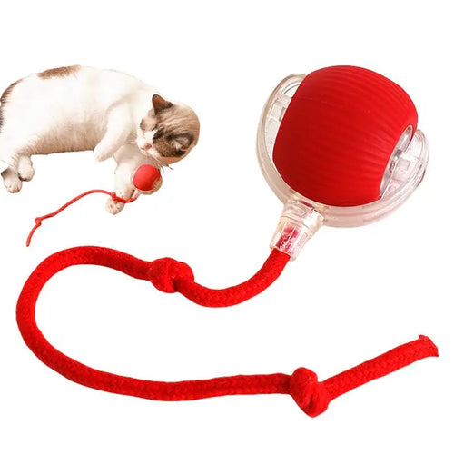 🔥Last Day 50% OFF-Upgraded! Rechargeable Magic Ball for Cat - Dog Interaction, endless fun! (Buy 2 Get 1 Free)🪀