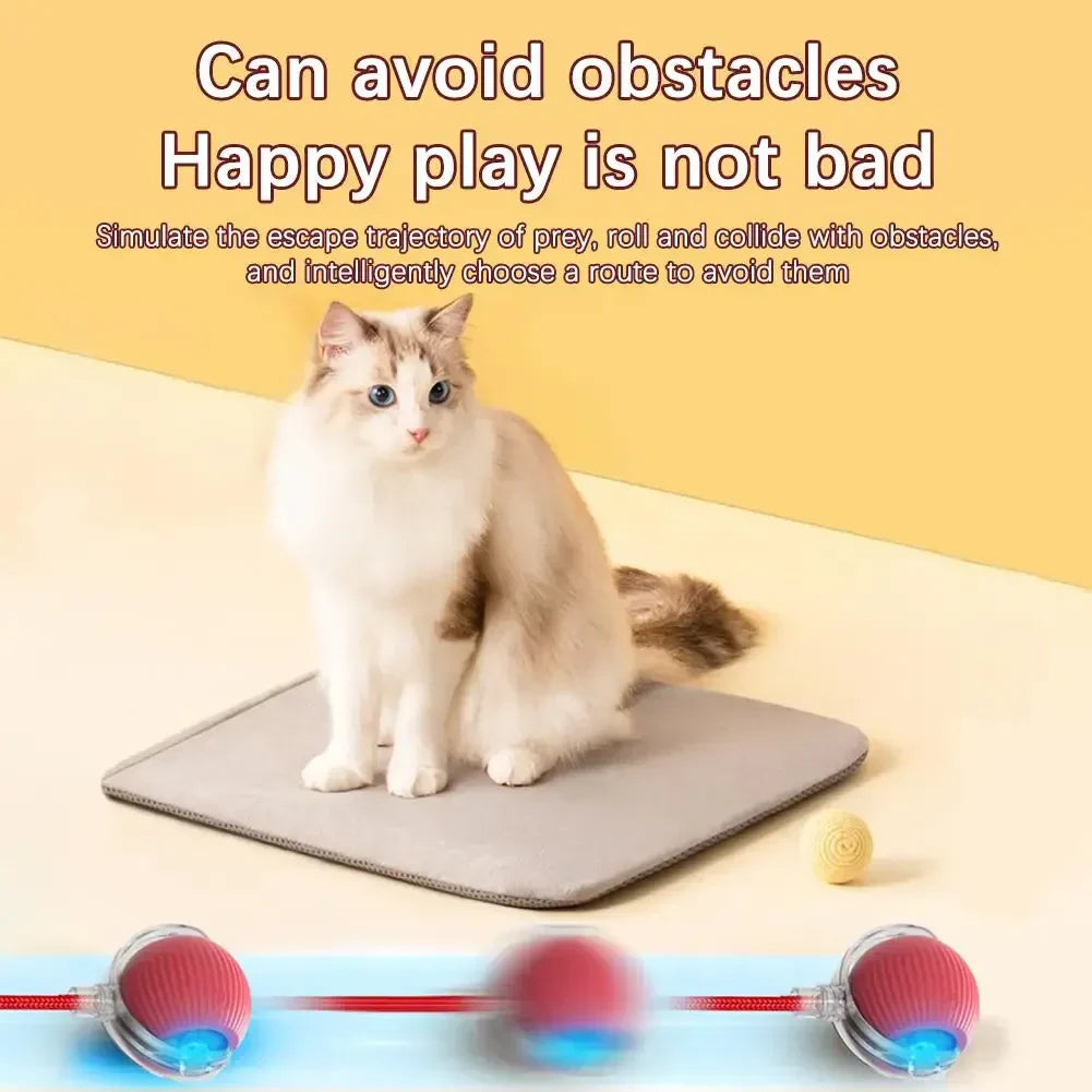 🔥Last Day 50% OFF-Upgraded! Rechargeable Magic Ball for Cat - Dog Interaction, endless fun! (Buy 2 Get 1 Free)🪀