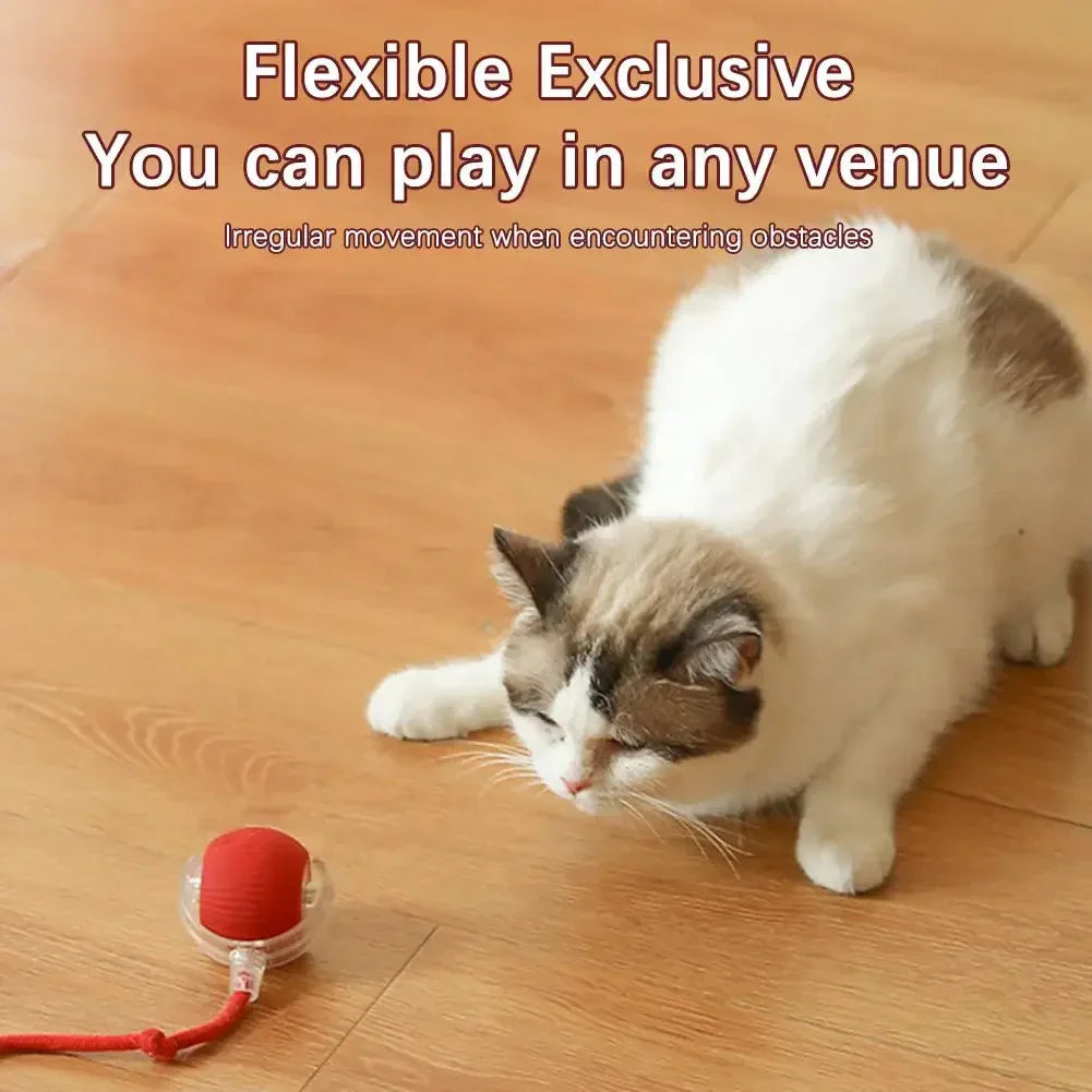 🔥Last Day 50% OFF-Upgraded! Rechargeable Magic Ball for Cat - Dog Interaction, endless fun! (Buy 2 Get 1 Free)🪀