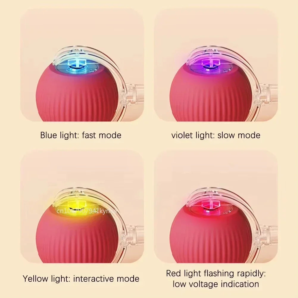 🔥Last Day 50% OFF-Upgraded! Rechargeable Magic Ball for Cat - Dog Interaction, endless fun! (Buy 2 Get 1 Free)🪀