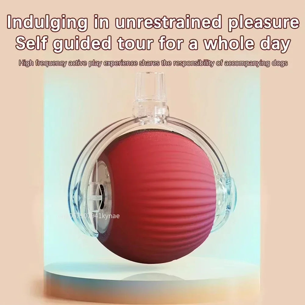 🔥Last Day 50% OFF-Upgraded! Rechargeable Magic Ball for Cat - Dog Interaction, endless fun! (Buy 2 Get 1 Free)🪀