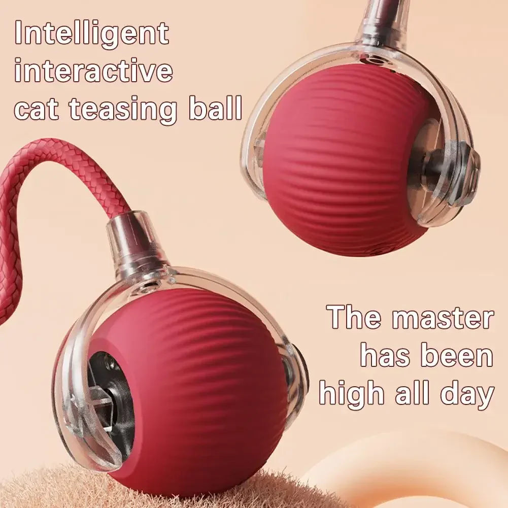 🔥Last Day 50% OFF-Upgraded! Rechargeable Magic Ball for Cat - Dog Interaction, endless fun! (Buy 2 Get 1 Free)🪀