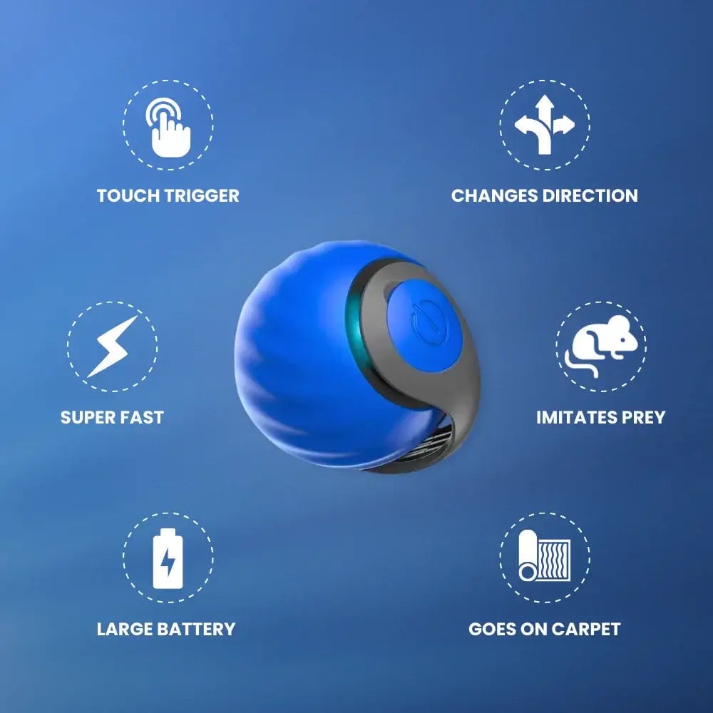 🔥Last Day 48% OFF - SPEEDY TAIL 2.0 (Buy 2 Get 1 Free)