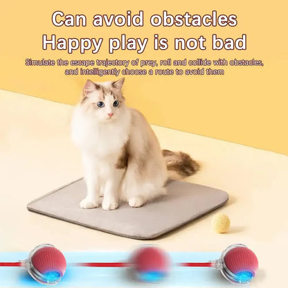 🔥Last Day 50% OFF-Upgraded! Rechargeable Magic Ball for Cat - Dog Interaction, endless fun! (Buy 2 Get 1 Free)🪀