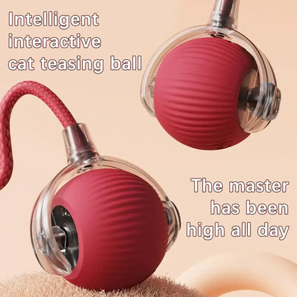 🔥Last Day 50% OFF-Upgraded! Rechargeable Magic Ball for Cat - Dog Interaction, endless fun! (Buy 2 Get 1 Free)🪀