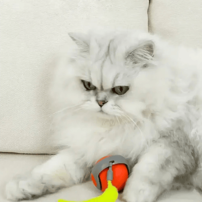 🔥Last Day 48% OFF - SPEEDY TAIL 2.0 (Buy 2 Get 1 Free)